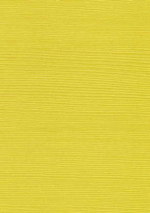 lunit-folie-49 lemon