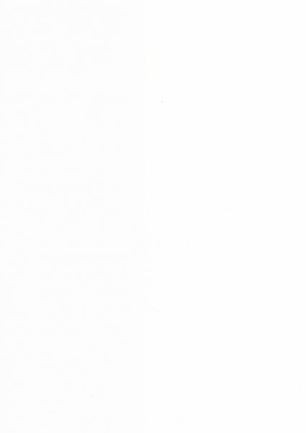 lunit-folie-03 bílá lesk