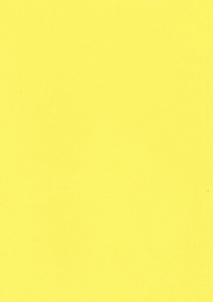lunit-folie-05 žlutá