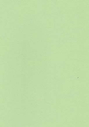 lunit-folie-08 zelená