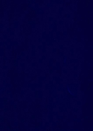 lunit-folie-10 modrá