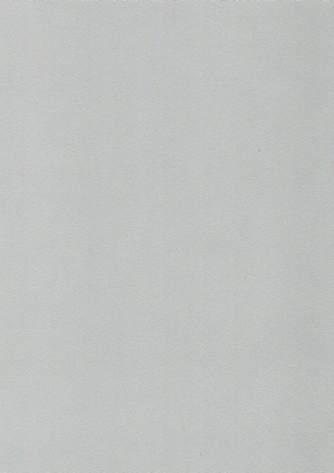 lunit-folie-15 stříbrná