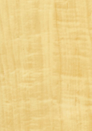 lunit-folie-19 javor