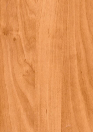 lunit-folie-22 olše