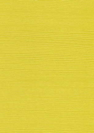 lunit-folie-49 lemon