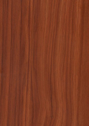 lunit-folie-55 švestka