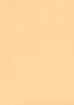 lunit-folie-85 meruňka lesk