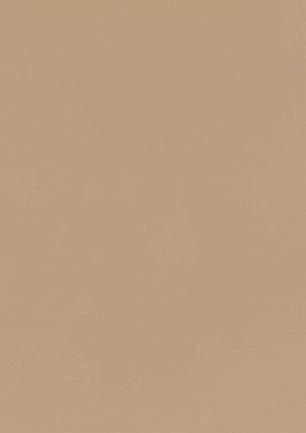 lunit-folie-94 cappuccino lesk