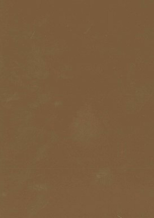 lunit-folie-95 sépia lesk