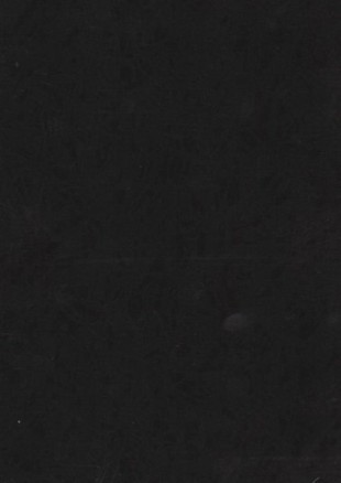 lunit-folie-116 arctic cerna