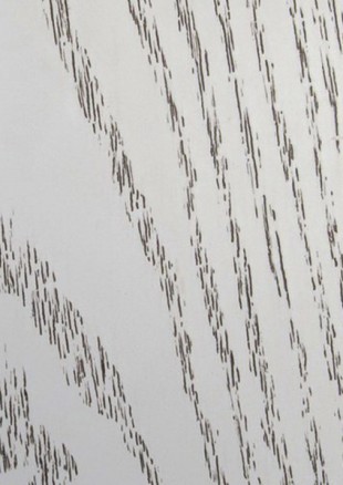 lunit-folie-119 jasan bily patina