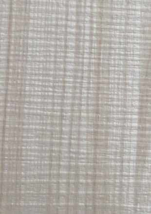 lunit-folie-128 jasan lyon