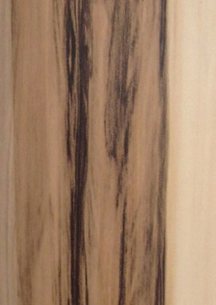 lunit-folie-136 orech baltimore 1