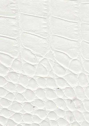 lunit-folie-142 krokodílí kůže