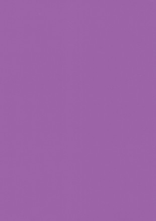 169 Violet mat