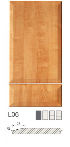 L06